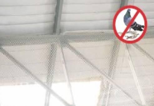 Pigeon Protection Net - HDPE