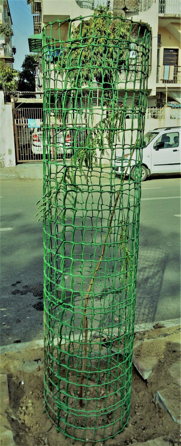 Square-Tree-gaurd-plastic tree guard