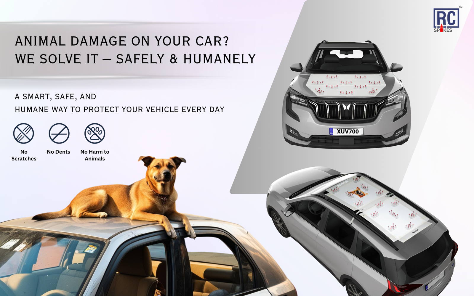 Animal Damage on Your Car ?
We Solve It – Safely & Humanely